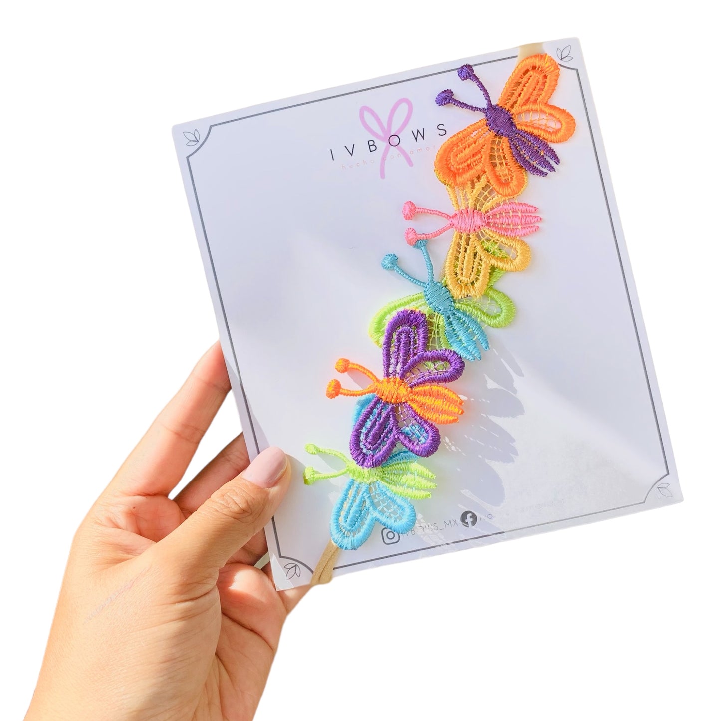 Diadema butterfly
